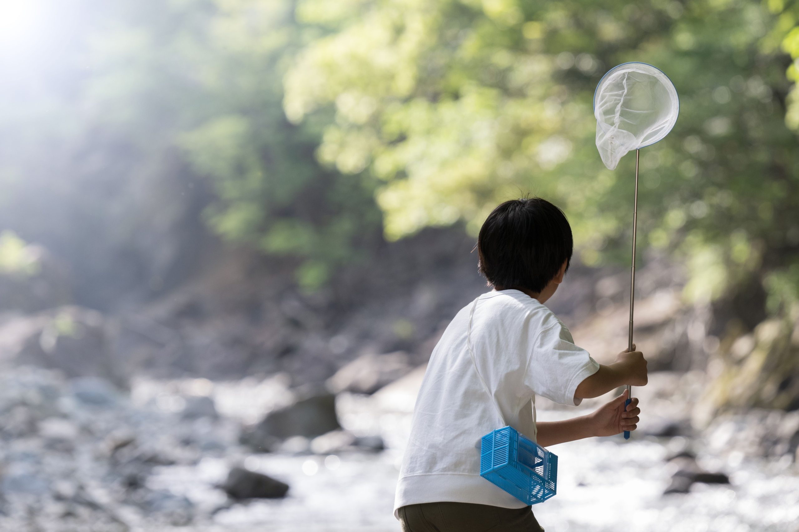 夏の学習成果を最大化させる【夏期特別講座】を開講します！